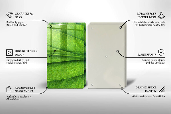 Osłona ściany przy kuchence gazowej Liść żyłki natura