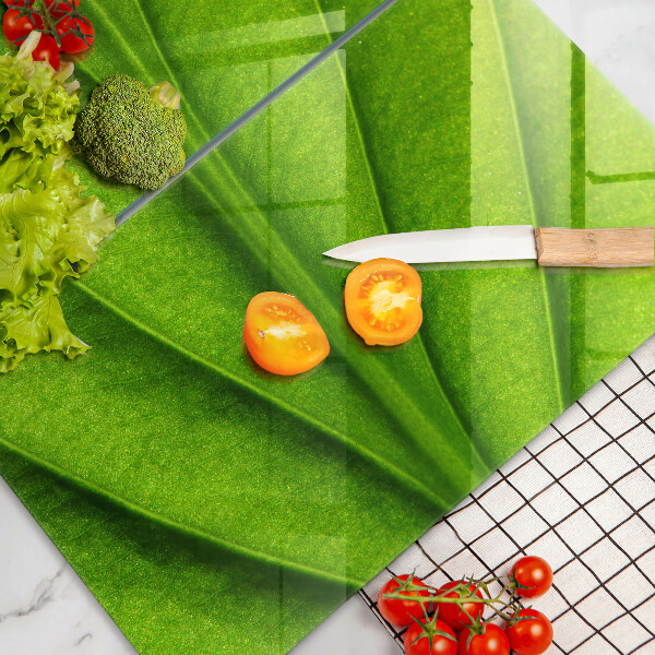 Osłona ściany przy kuchence gazowej Liść żyłki natura