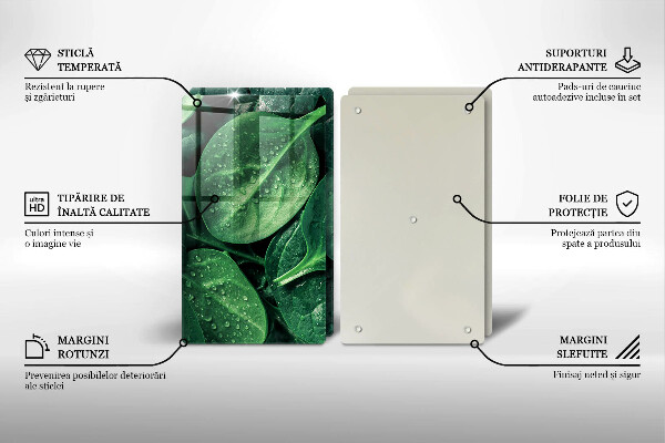 Osłona ściany przy kuchence gazowej Liście bazylii