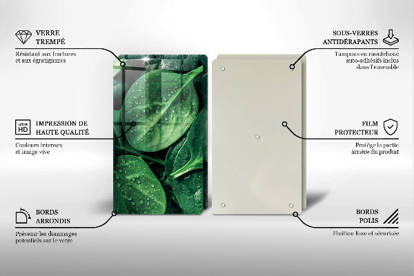 Osłona ściany przy kuchence gazowej Liście bazylii