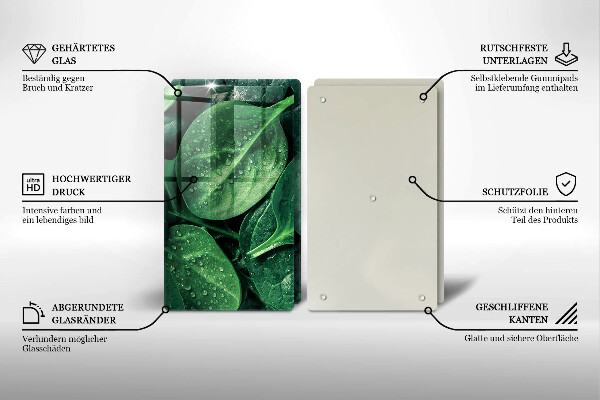 Osłona ściany przy kuchence gazowej Liście bazylii