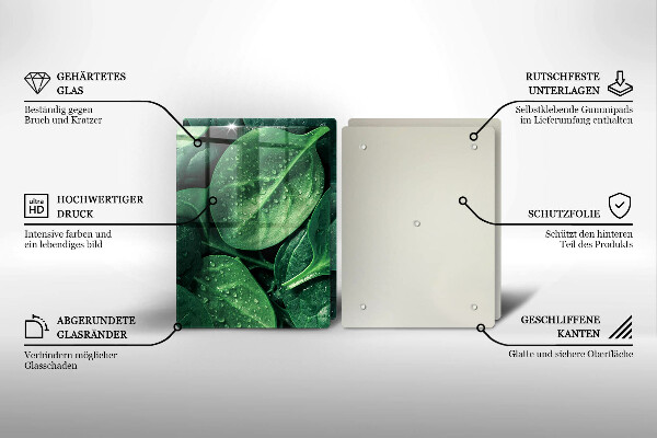 Osłona ściany przy kuchence gazowej Liście bazylii