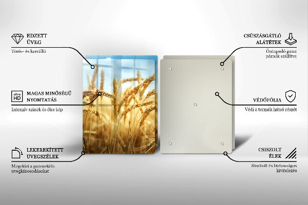 Ochrona na ścianę w kuchni Kłosy zbóż na polu
