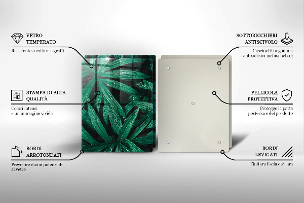 Osłona ściany przy kuchence gazowej Rośliny liście