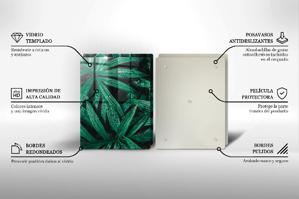 Osłona ściany przy kuchence gazowej Rośliny liście