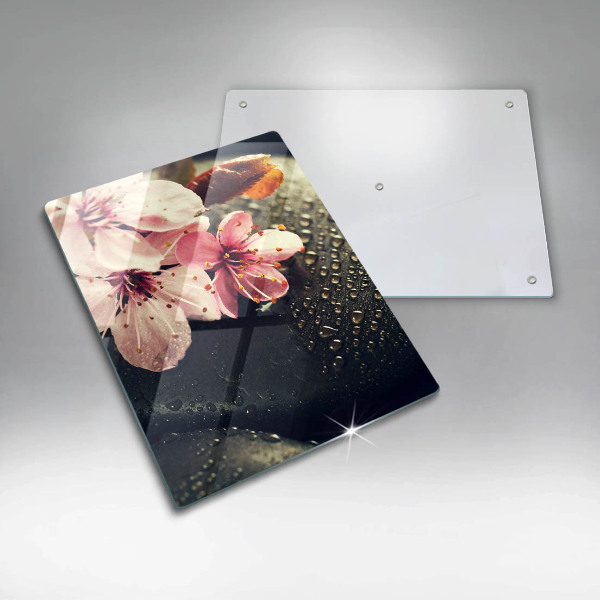 Osłona na ścianę w kuchni Kwiaty kamienie zen