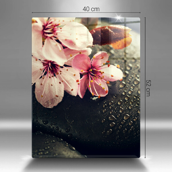 Osłona na ścianę w kuchni Kwiaty kamienie zen