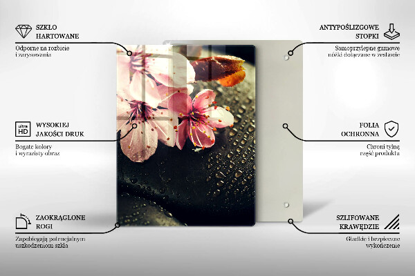 Osłona na ścianę w kuchni Kwiaty kamienie zen