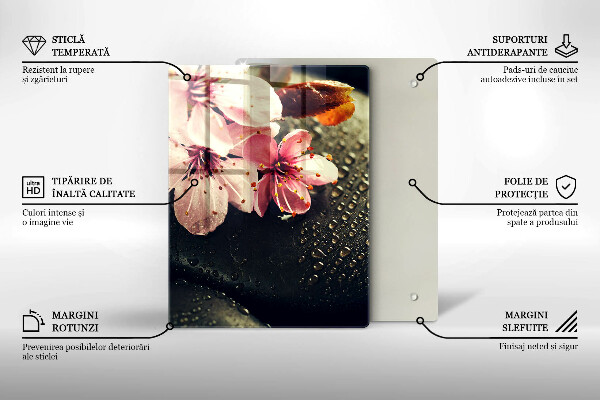 Osłona na ścianę w kuchni Kwiaty kamienie zen