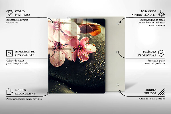 Osłona na ścianę w kuchni Kwiaty kamienie zen