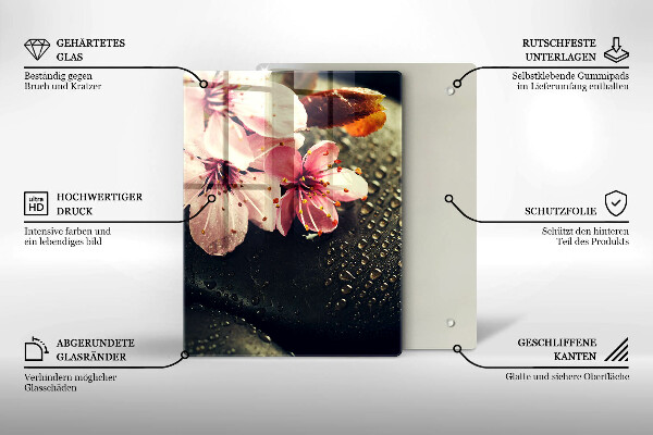 Osłona na ścianę w kuchni Kwiaty kamienie zen