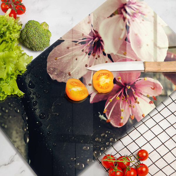 Osłona na ścianę w kuchni Kwiaty kamienie zen