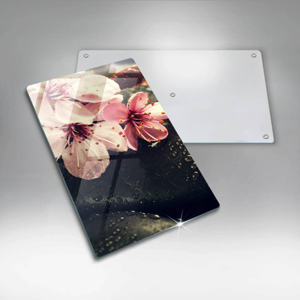 Osłona na ścianę w kuchni Kwiaty kamienie zen