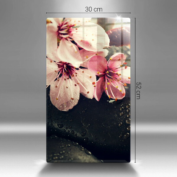 Osłona na ścianę w kuchni Kwiaty kamienie zen