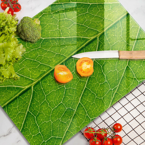 Osłona ściany przy kuchence gazowej Żyłki liść natura