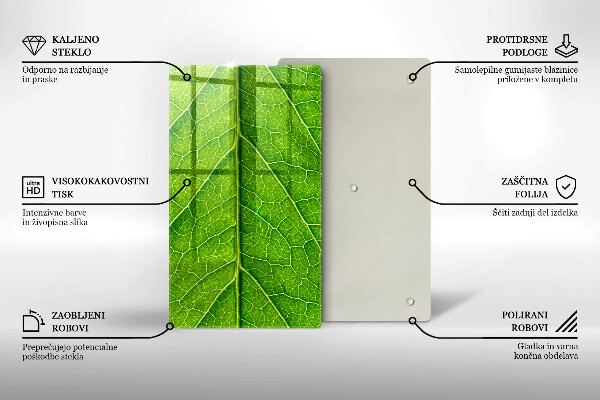 Osłona ściany przy kuchence gazowej Żyłki liść natura