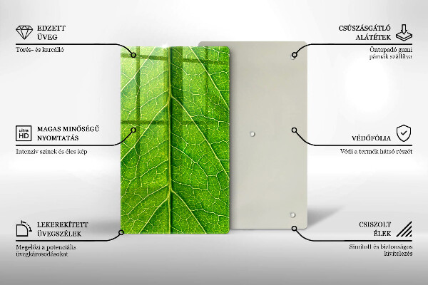 Osłona ściany przy kuchence gazowej Żyłki liść natura