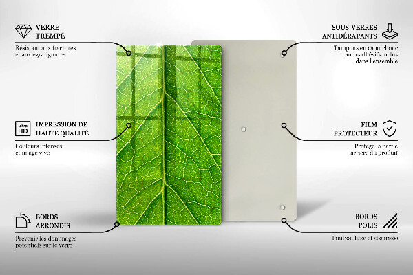 Osłona ściany przy kuchence gazowej Żyłki liść natura