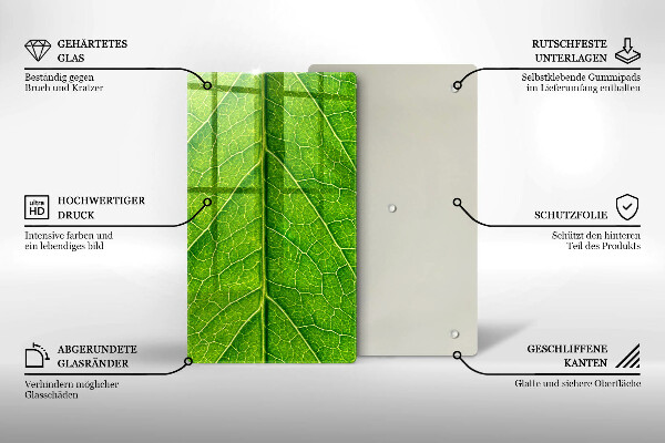 Osłona ściany przy kuchence gazowej Żyłki liść natura
