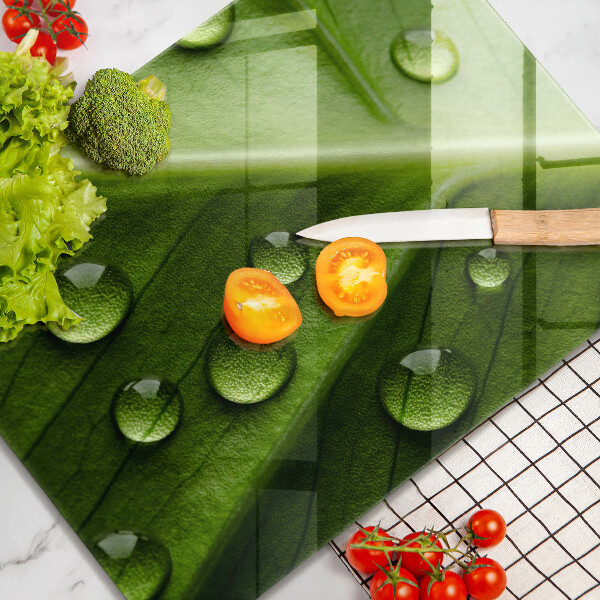 Osłona do kuchni na ścianę Natura rosa i liść