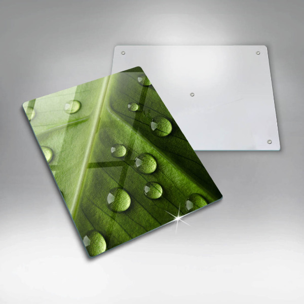 Osłona do kuchni na ścianę Natura rosa i liść