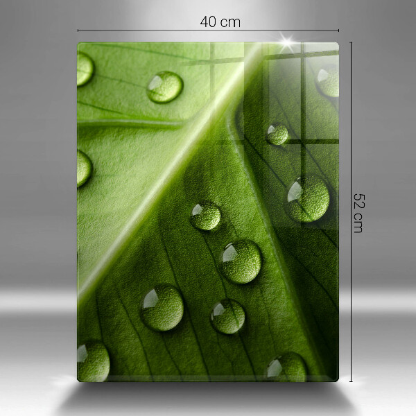 Osłona do kuchni na ścianę Natura rosa i liść