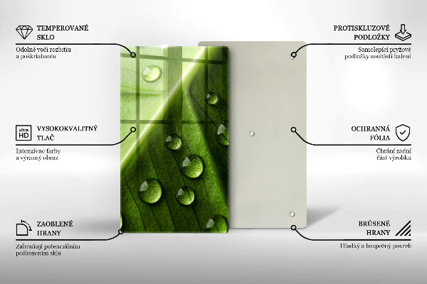 Osłona do kuchni na ścianę Natura rosa i liść