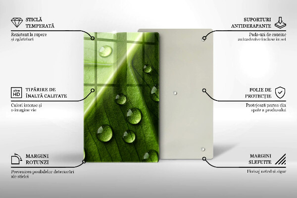 Osłona do kuchni na ścianę Natura rosa i liść