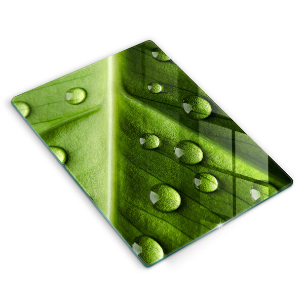 Osłona do kuchni na ścianę Natura rosa i liść