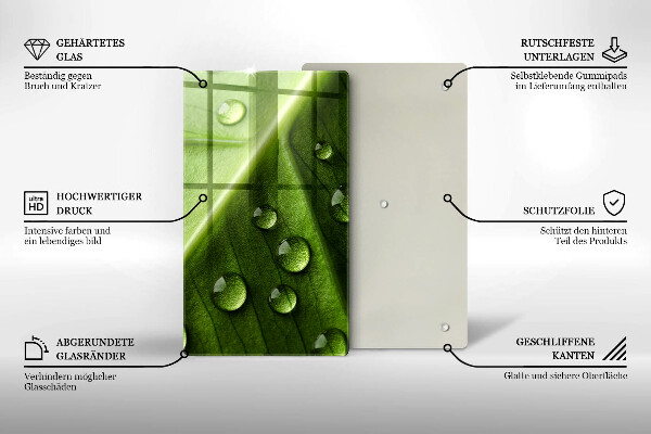 Osłona do kuchni na ścianę Natura rosa i liść