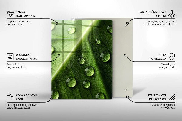 Osłona do kuchni na ścianę Natura rosa i liść