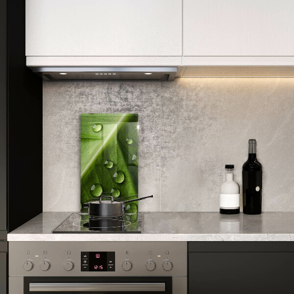 Osłona do kuchni na ścianę Natura rosa i liść