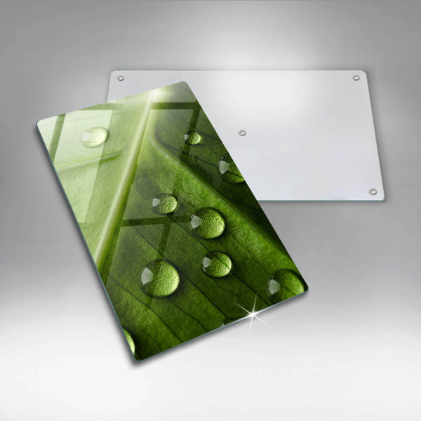 Osłona do kuchni na ścianę Natura rosa i liść