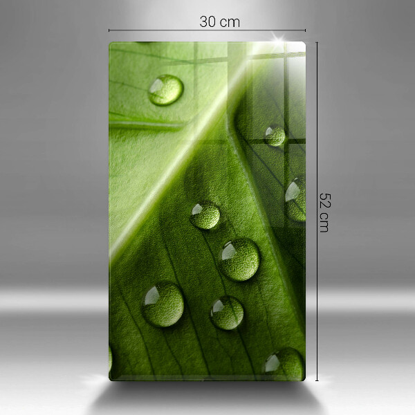 Osłona do kuchni na ścianę Natura rosa i liść