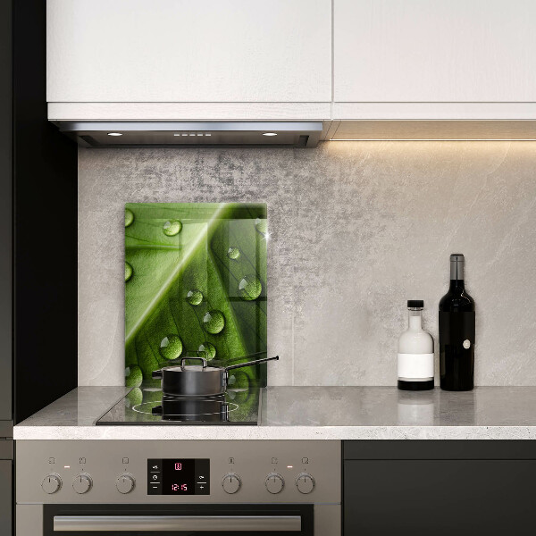 Osłona do kuchni na ścianę Natura rosa i liść