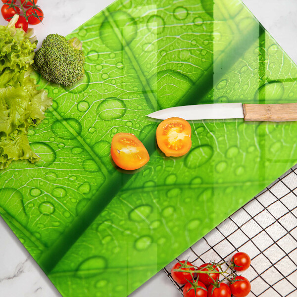 Osłona na ścianę do kuchni Zbliżenie liścia