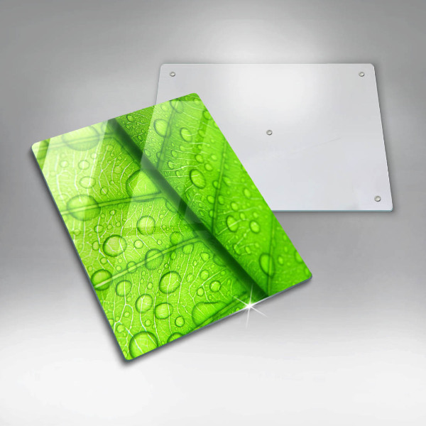 Osłona na ścianę do kuchni Zbliżenie liścia