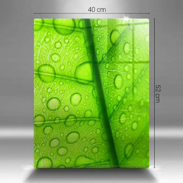 Osłona na ścianę do kuchni Zbliżenie liścia