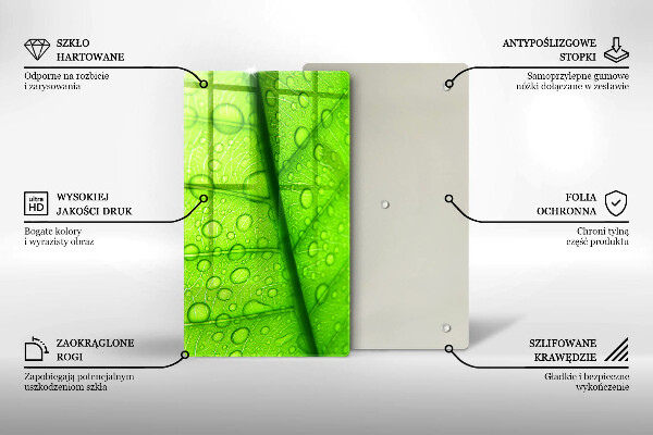 Osłona na ścianę do kuchni Zbliżenie liścia