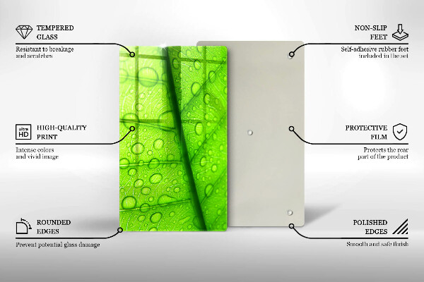 Osłona na ścianę do kuchni Zbliżenie liścia