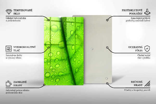 Osłona na ścianę do kuchni Zbliżenie liścia