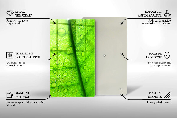 Osłona na ścianę do kuchni Zbliżenie liścia