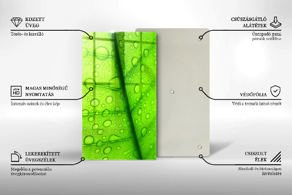 Osłona na ścianę do kuchni Zbliżenie liścia