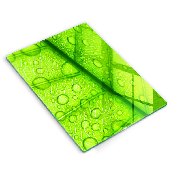 Osłona na ścianę do kuchni Zbliżenie liścia