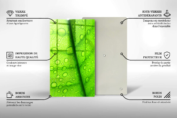 Osłona na ścianę do kuchni Zbliżenie liścia