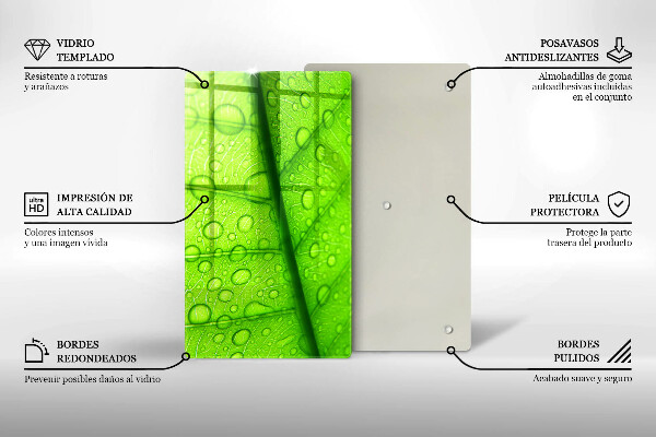 Osłona na ścianę do kuchni Zbliżenie liścia