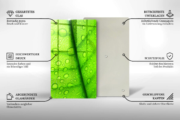 Osłona na ścianę do kuchni Zbliżenie liścia