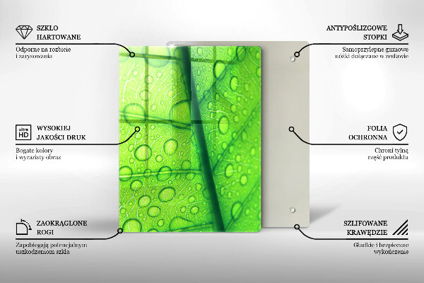 Osłona na ścianę do kuchni Zbliżenie liścia