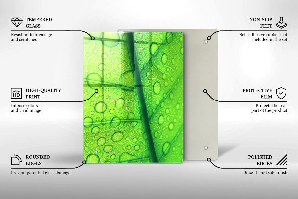 Osłona na ścianę do kuchni Zbliżenie liścia