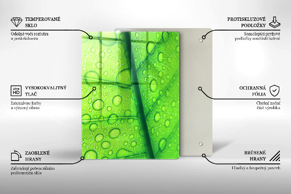 Osłona na ścianę do kuchni Zbliżenie liścia
